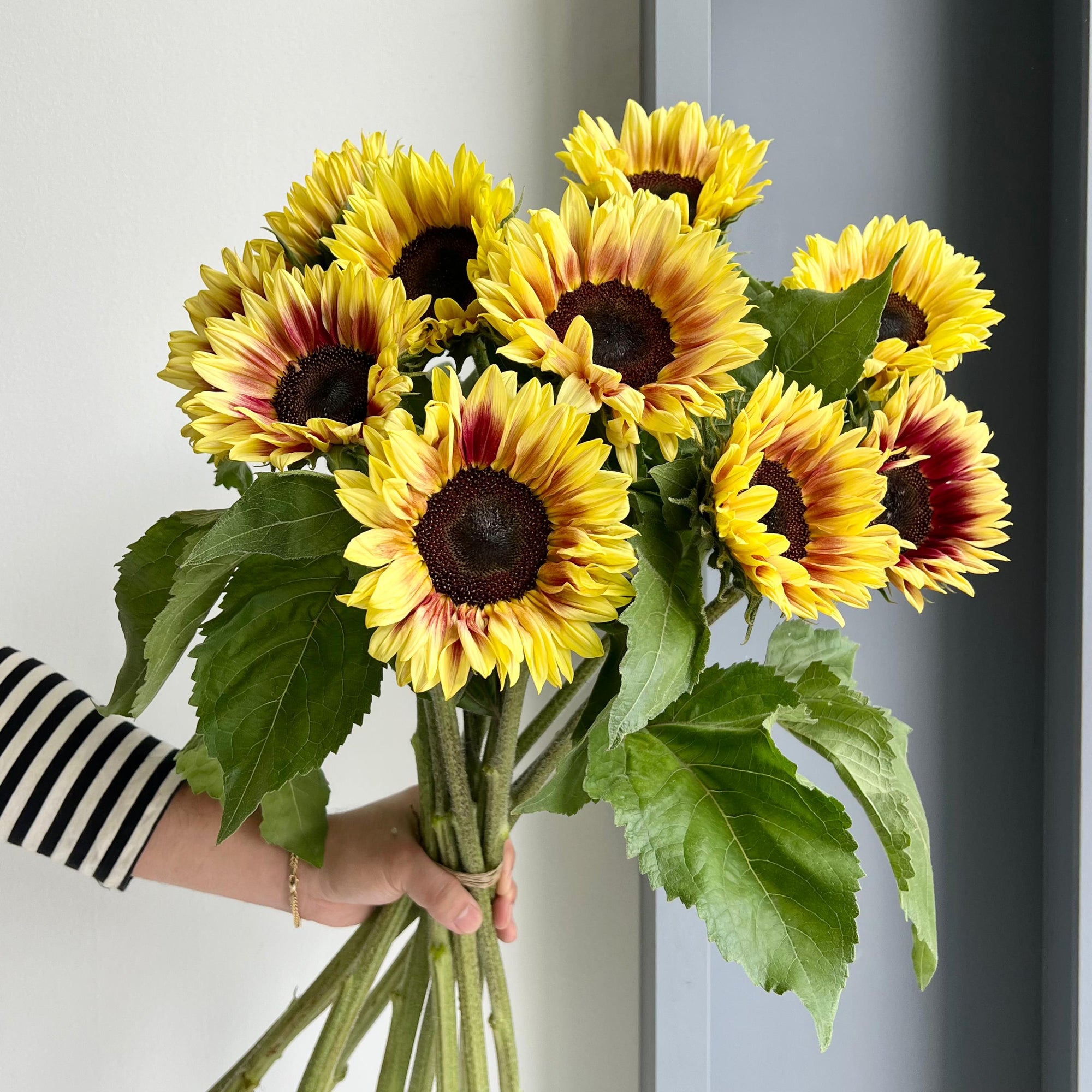 Sunflowers - Bob Marley