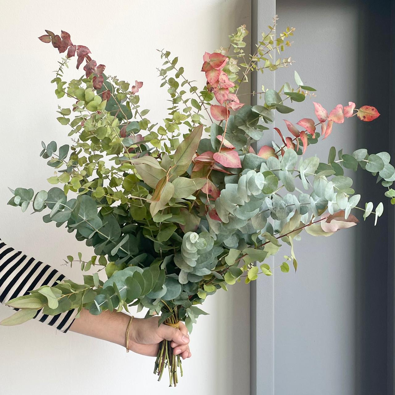 Eucalyptus Stuartiana Autumn Mix Bunch