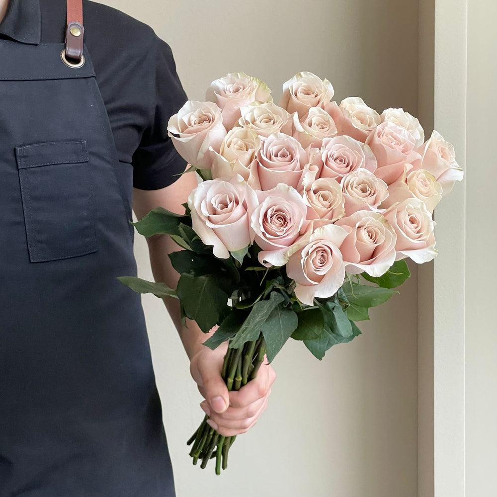 Roses  - Quicksand Cream