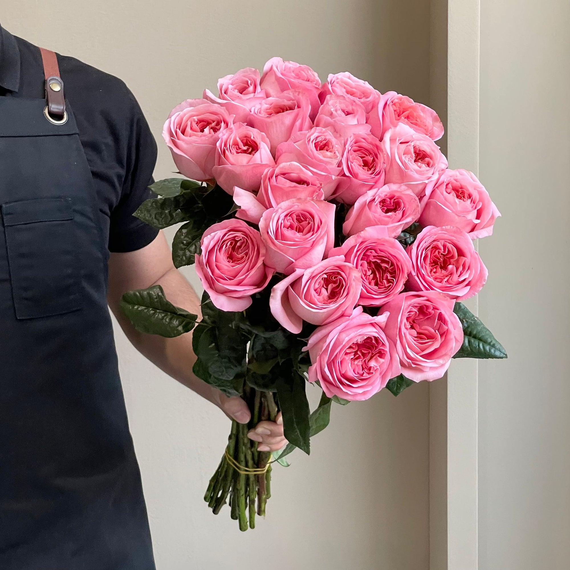 Roses - Pink Expression