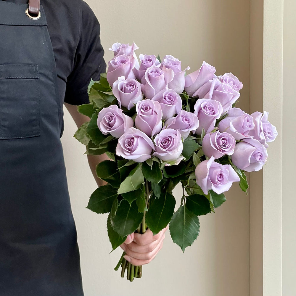 Roses - Ocean Song Lavender