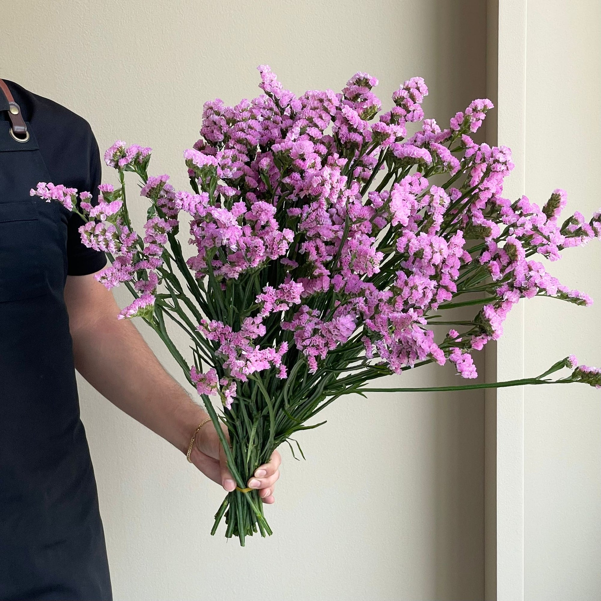 Statice - Rosella Sun Birds Pink