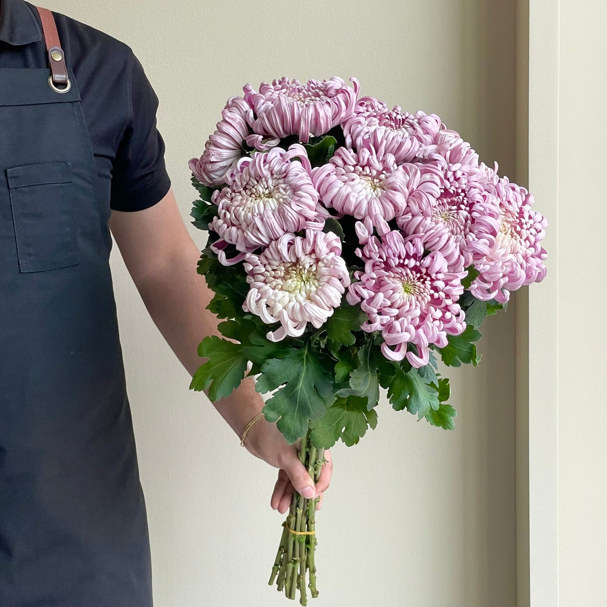 Chrysanthemums - Vienna Pink