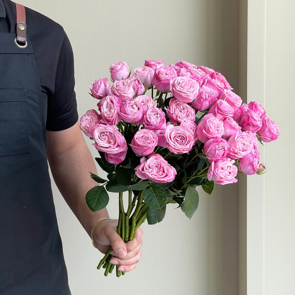 Spray Roses - Lady Bombastic