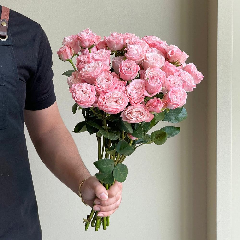 Spray Roses - Madam Bombastic Pink