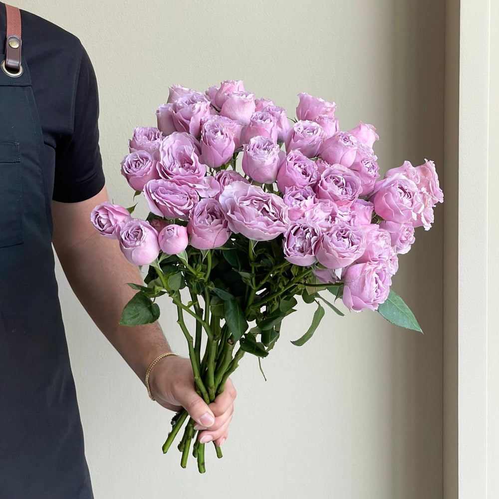 Spray Roses - Lavender Bubble
