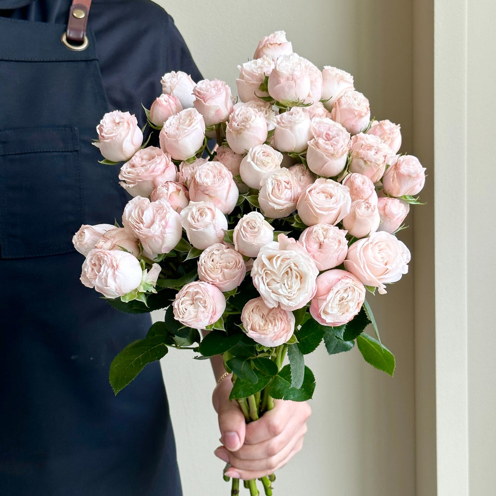 Spray Roses - Bombastic Light Pink