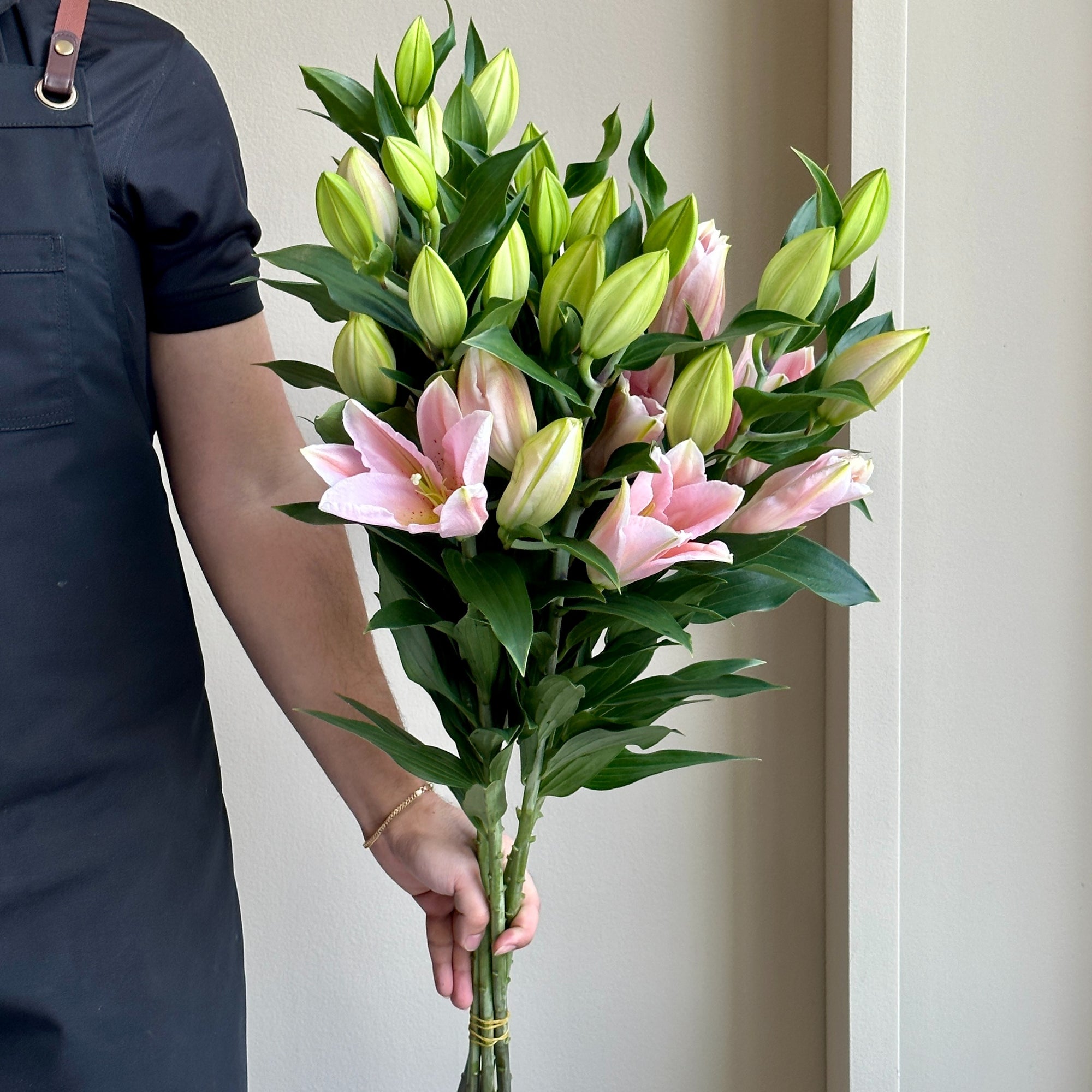 Lilies Oriental - Vendome Rose Pink
