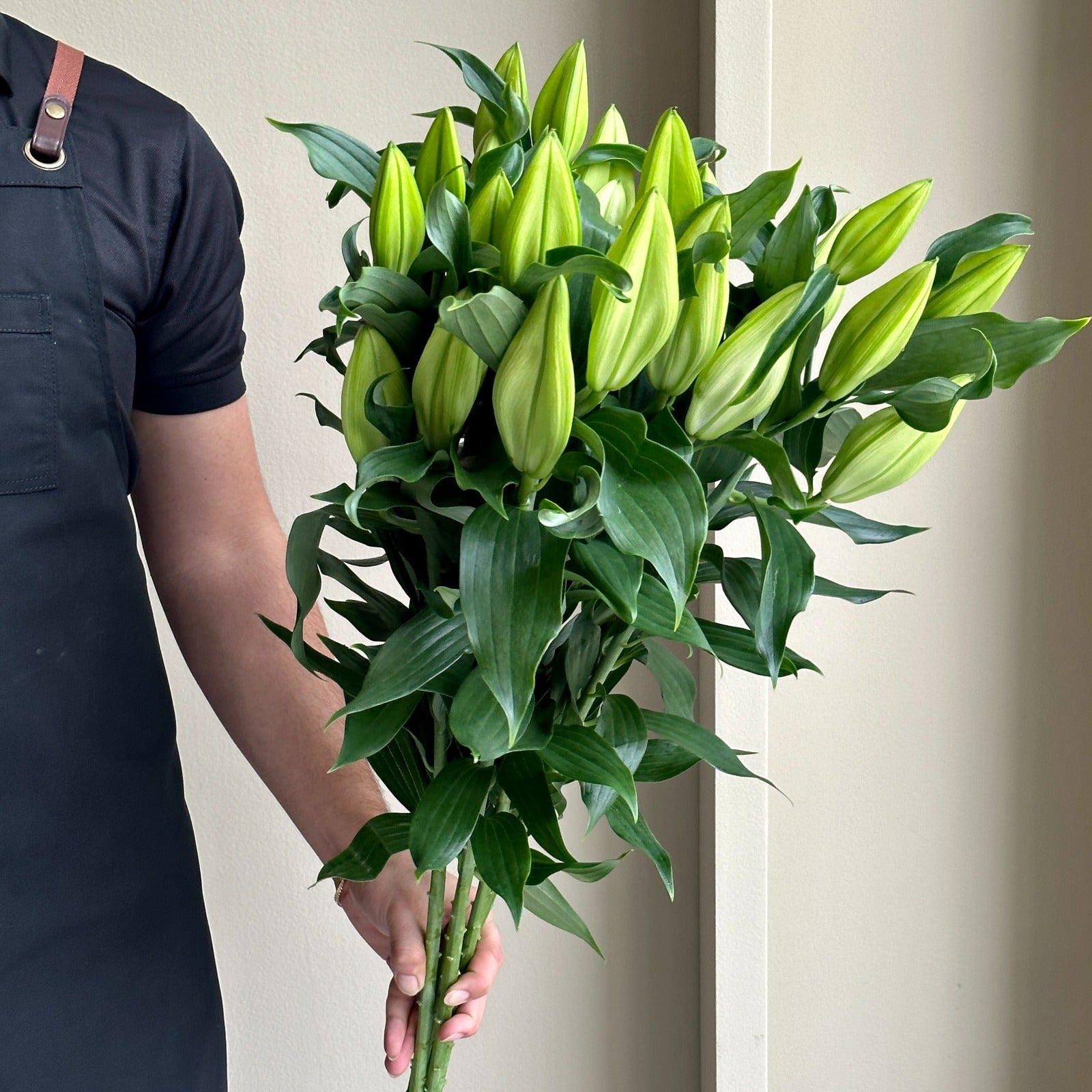 Lilies Oriental - Proposal White