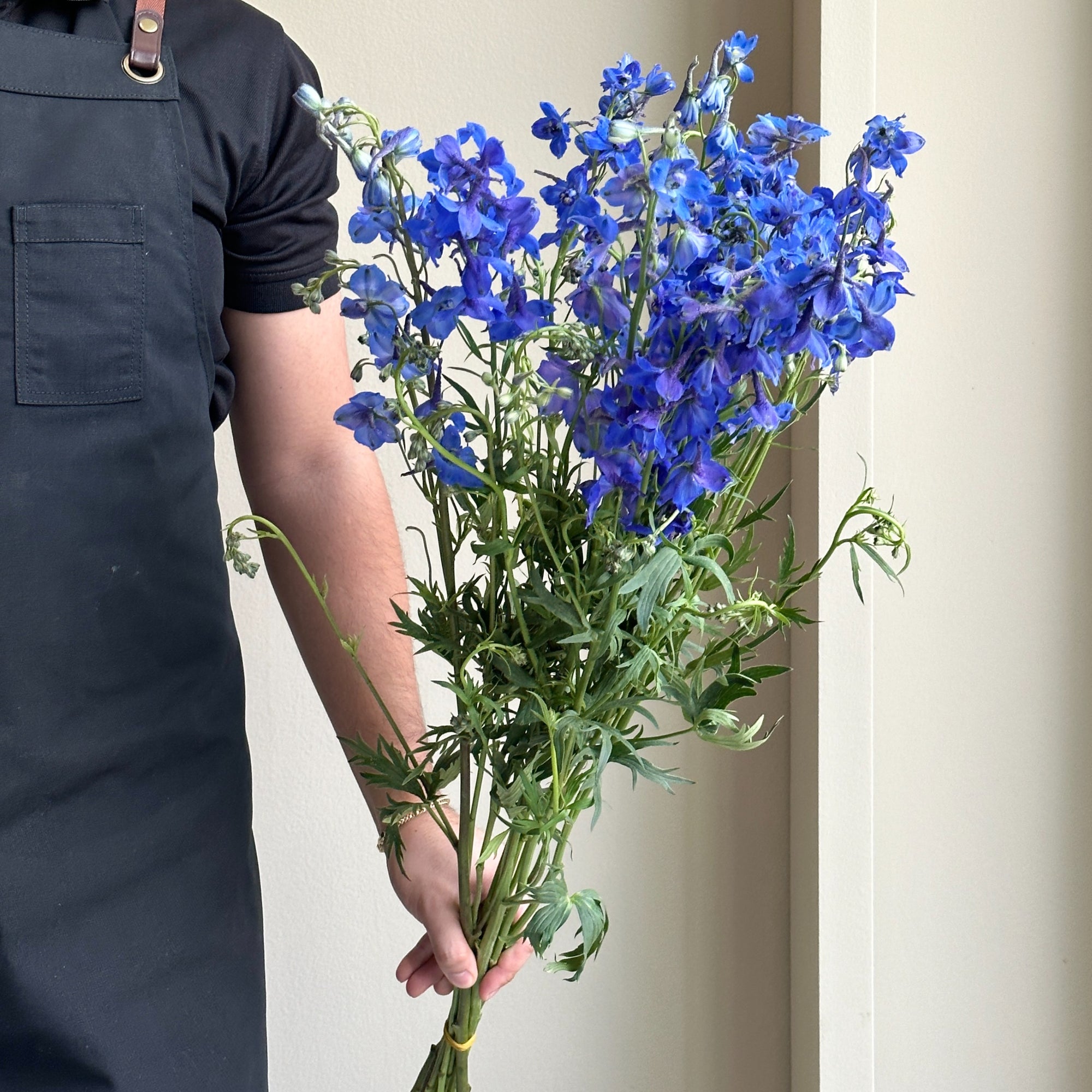Wild Delphiniums - Royal Blue