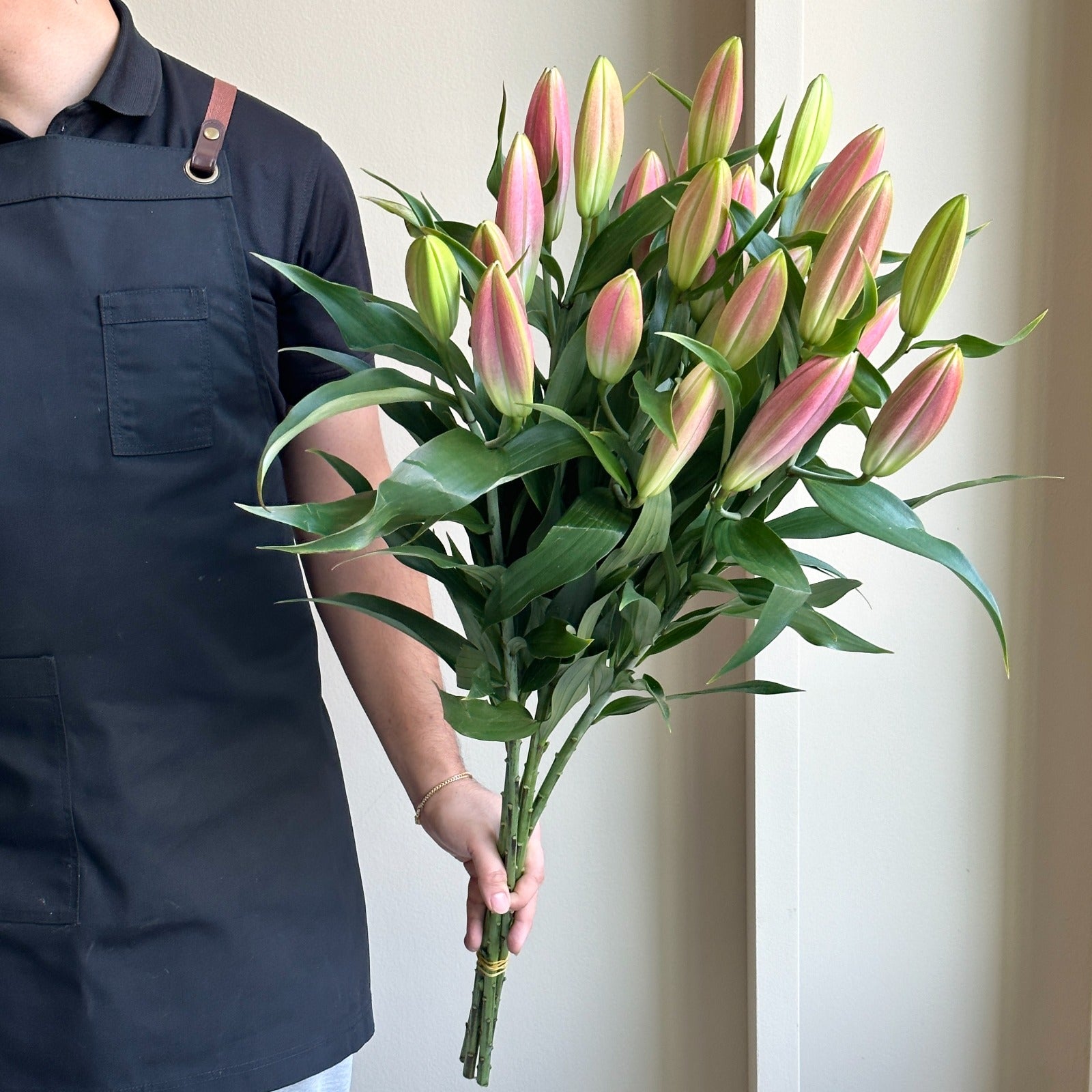 Lilies Oriental - Overig Pink