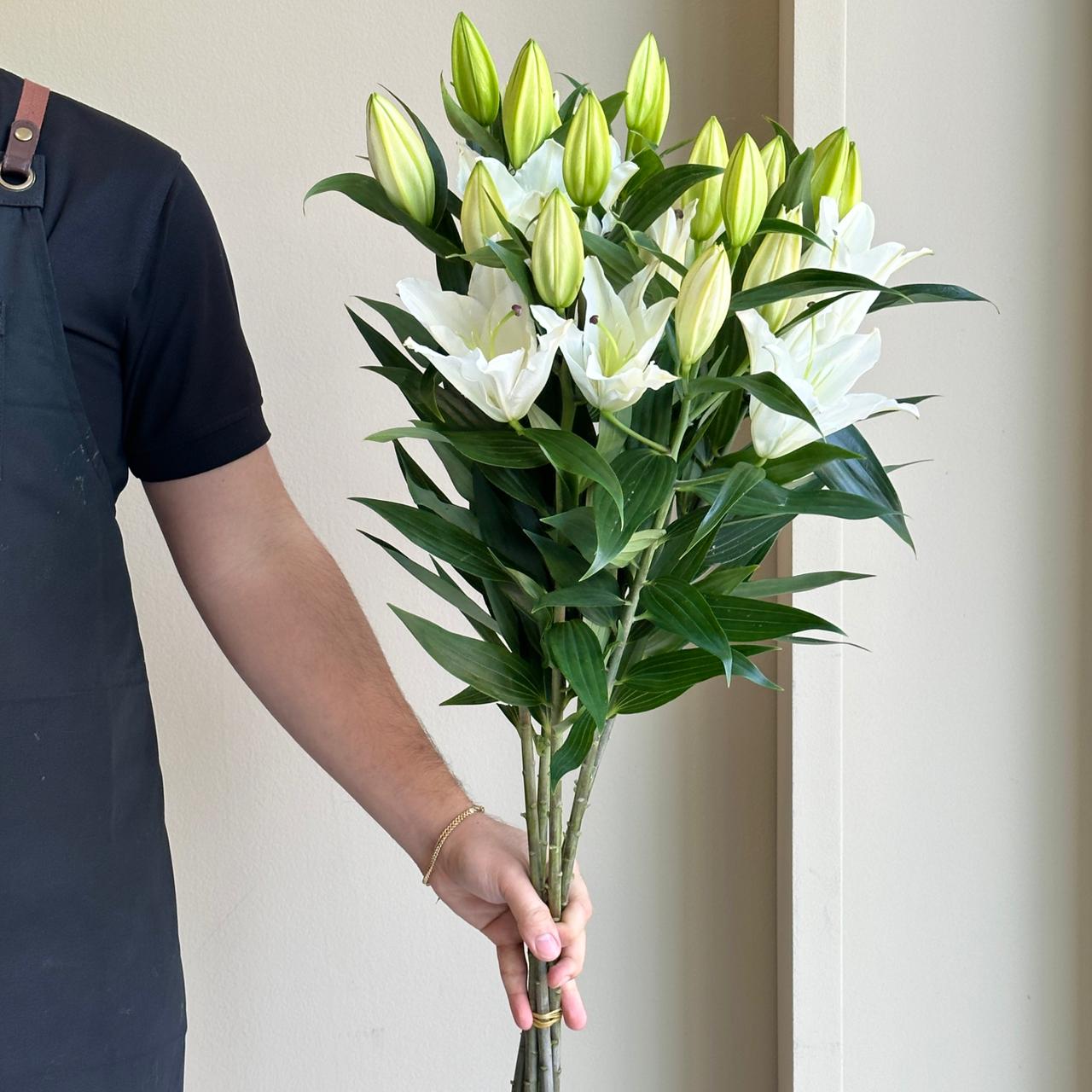 Lilies Oriental - Pacific Ocean White