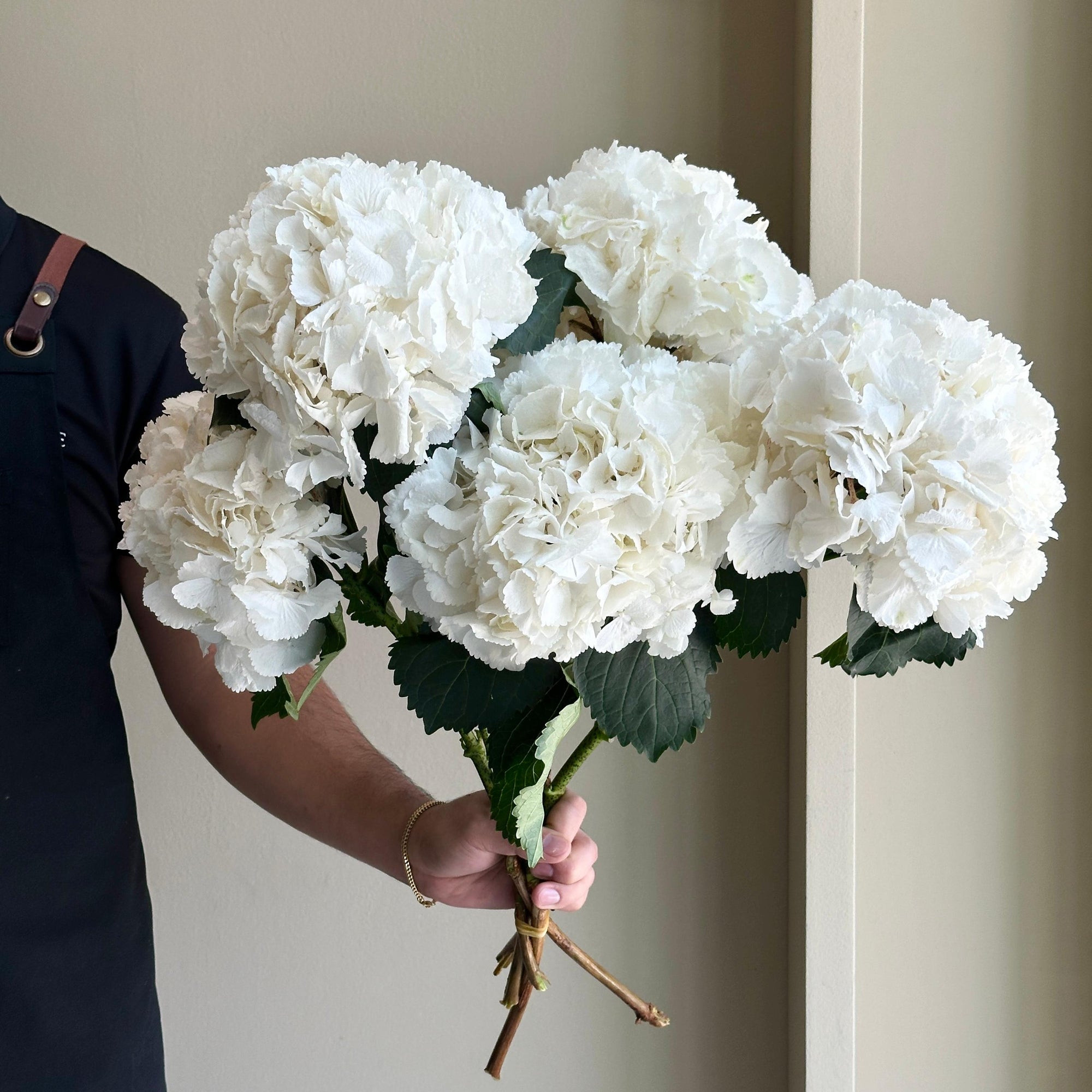 Hydrangeas - Schneeball White