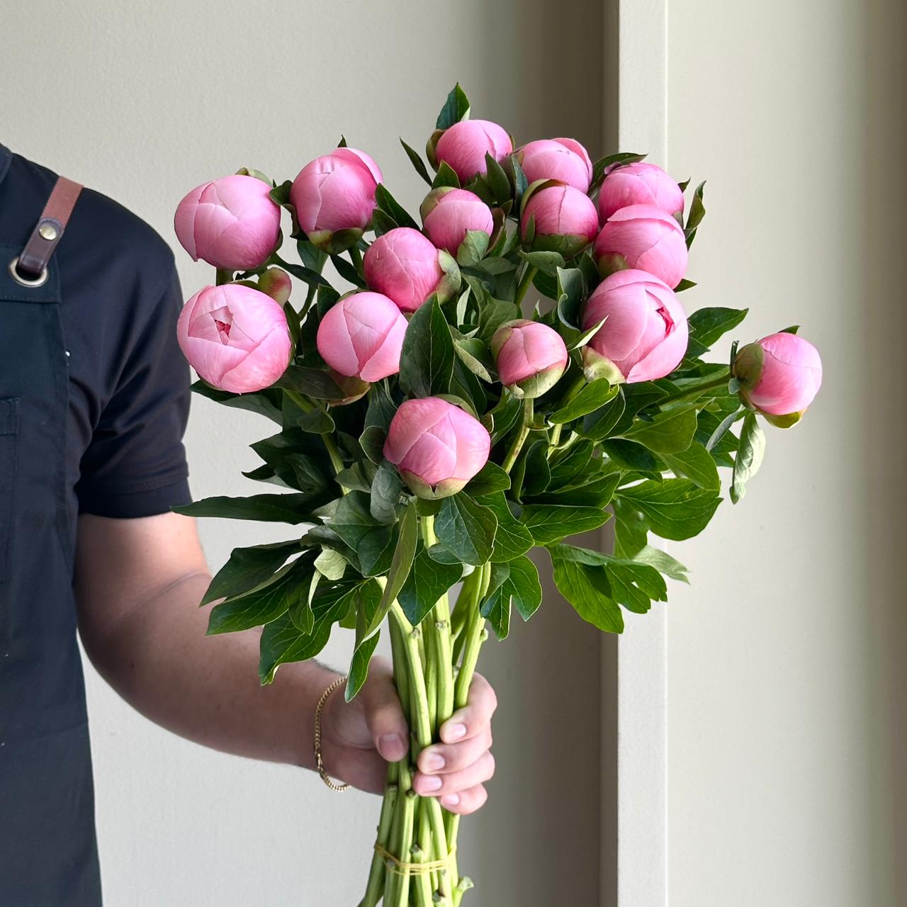Peonies - Etched Salmon Pink (15 Stems)