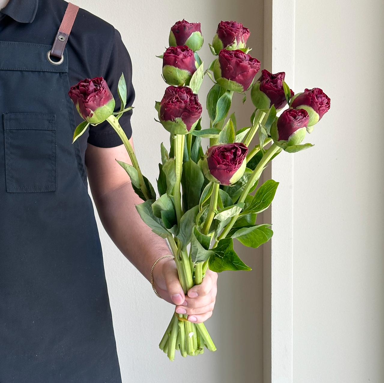 Peonies - Old Faithful Red