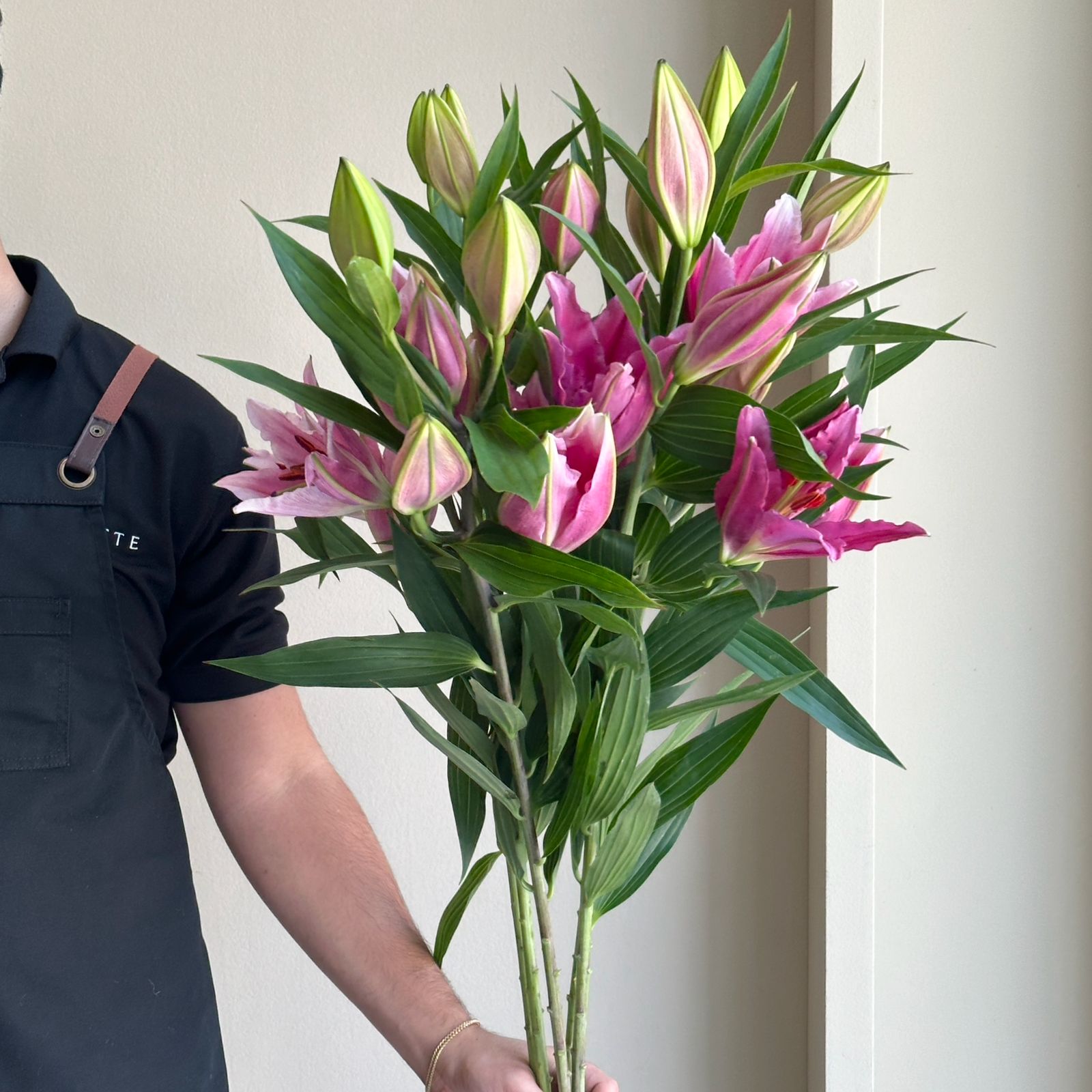 Lilies Oriental - Purpinca Pink