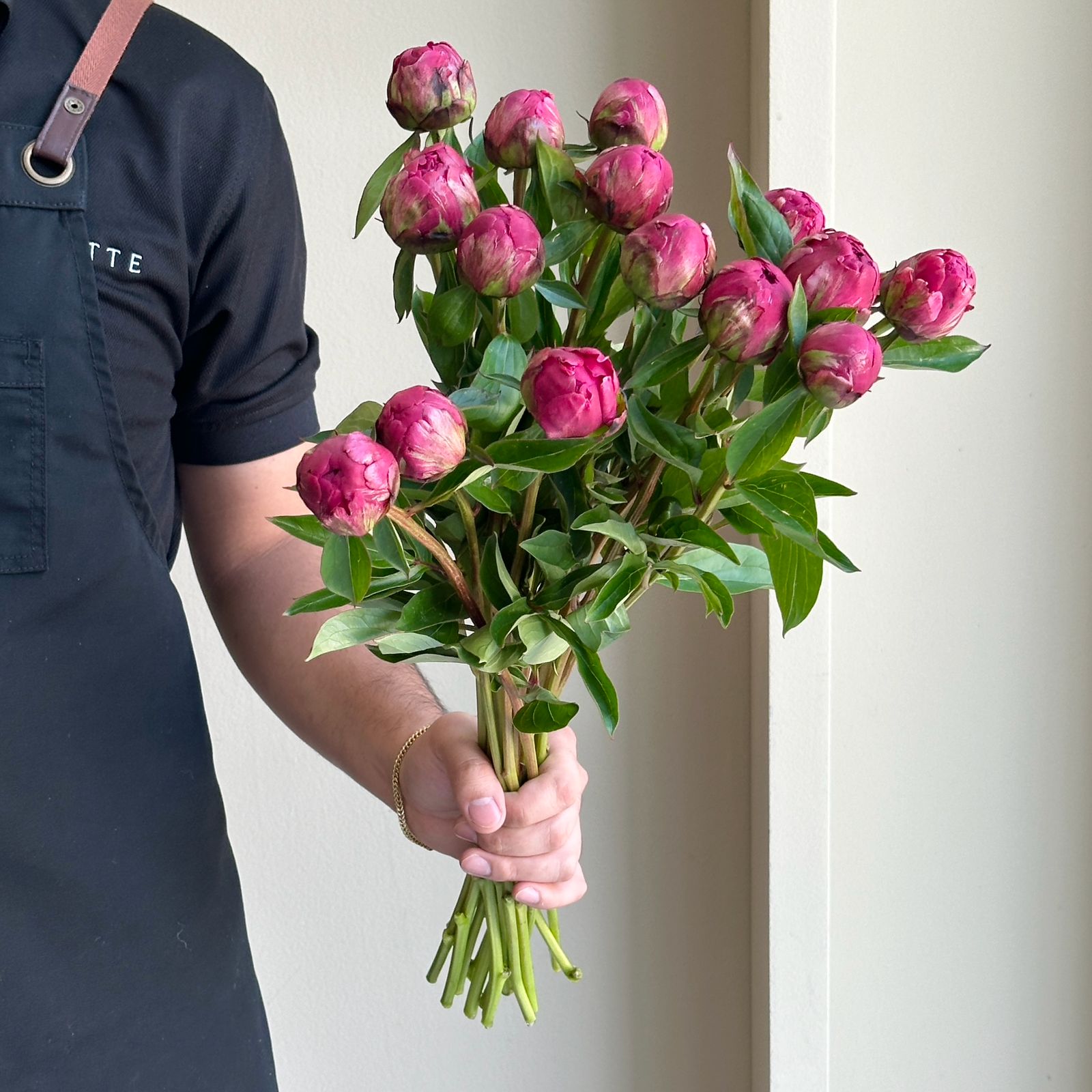 Peonies - Paul Wild (15 stems)