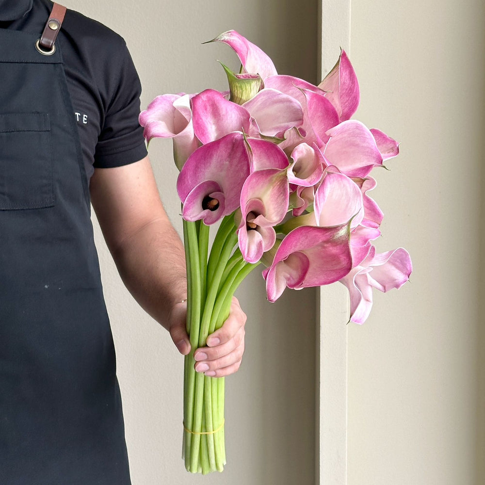 Calla Lilies - Denver Pink