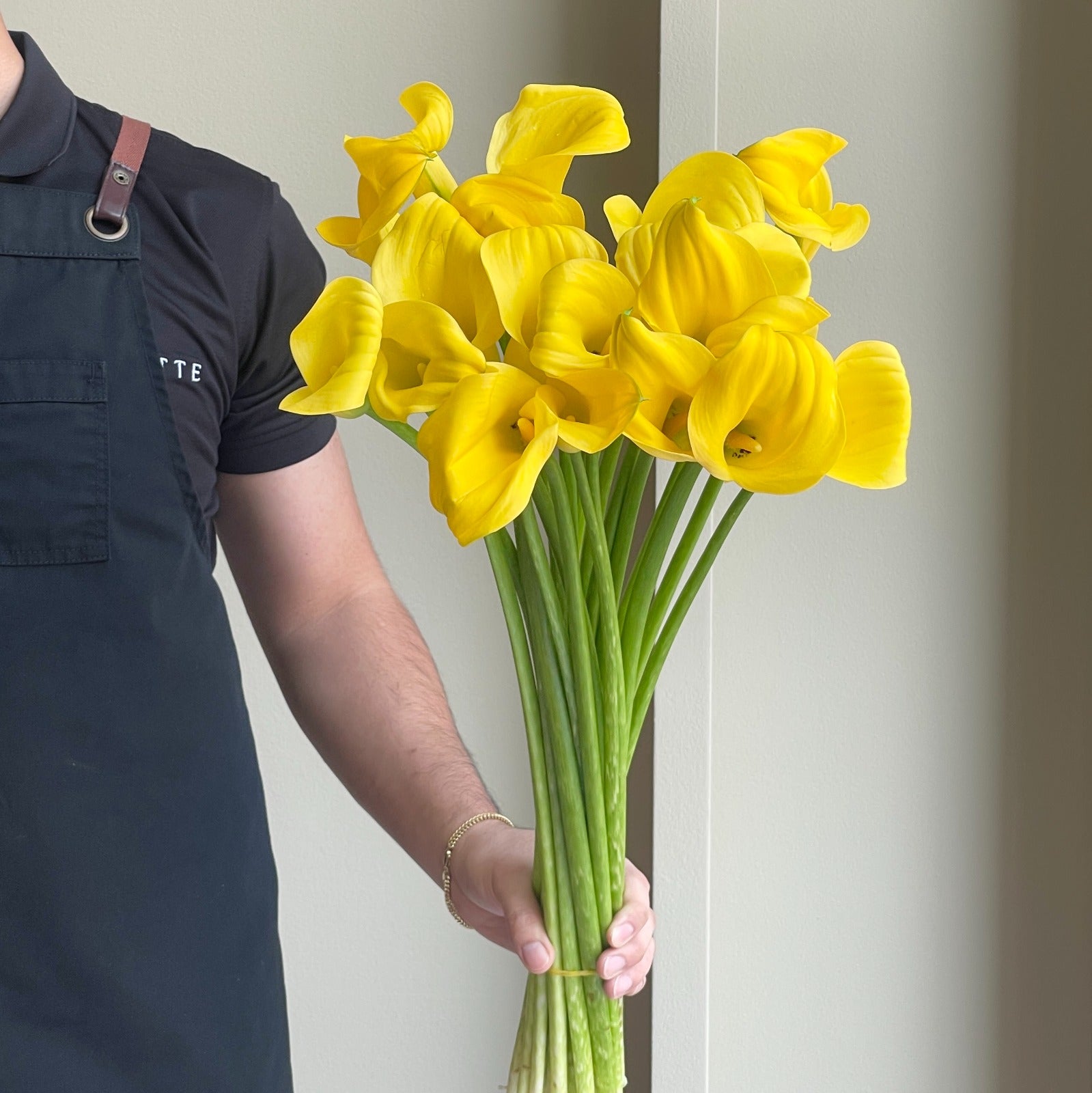Calla Lilies - Goldcup Yellow
