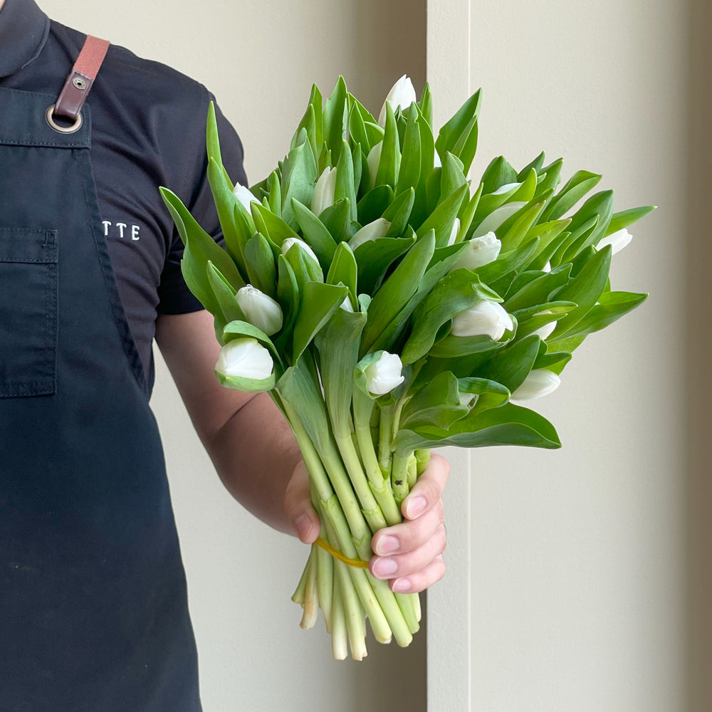 Tulips - Royal Virgin White