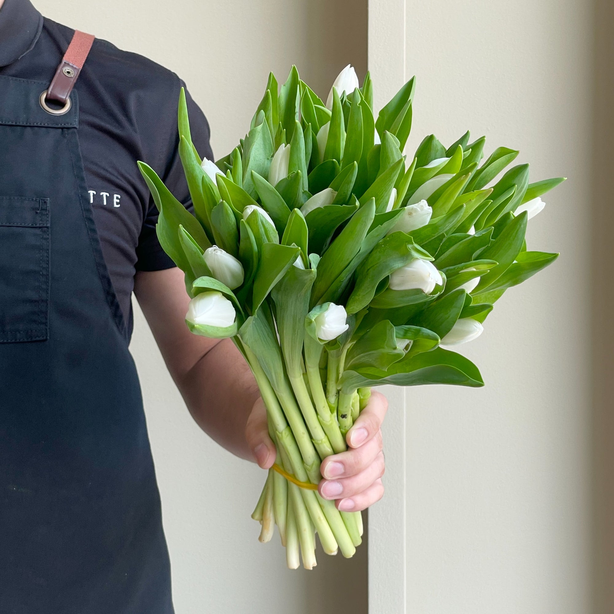 Tulips - Royal Virgin White