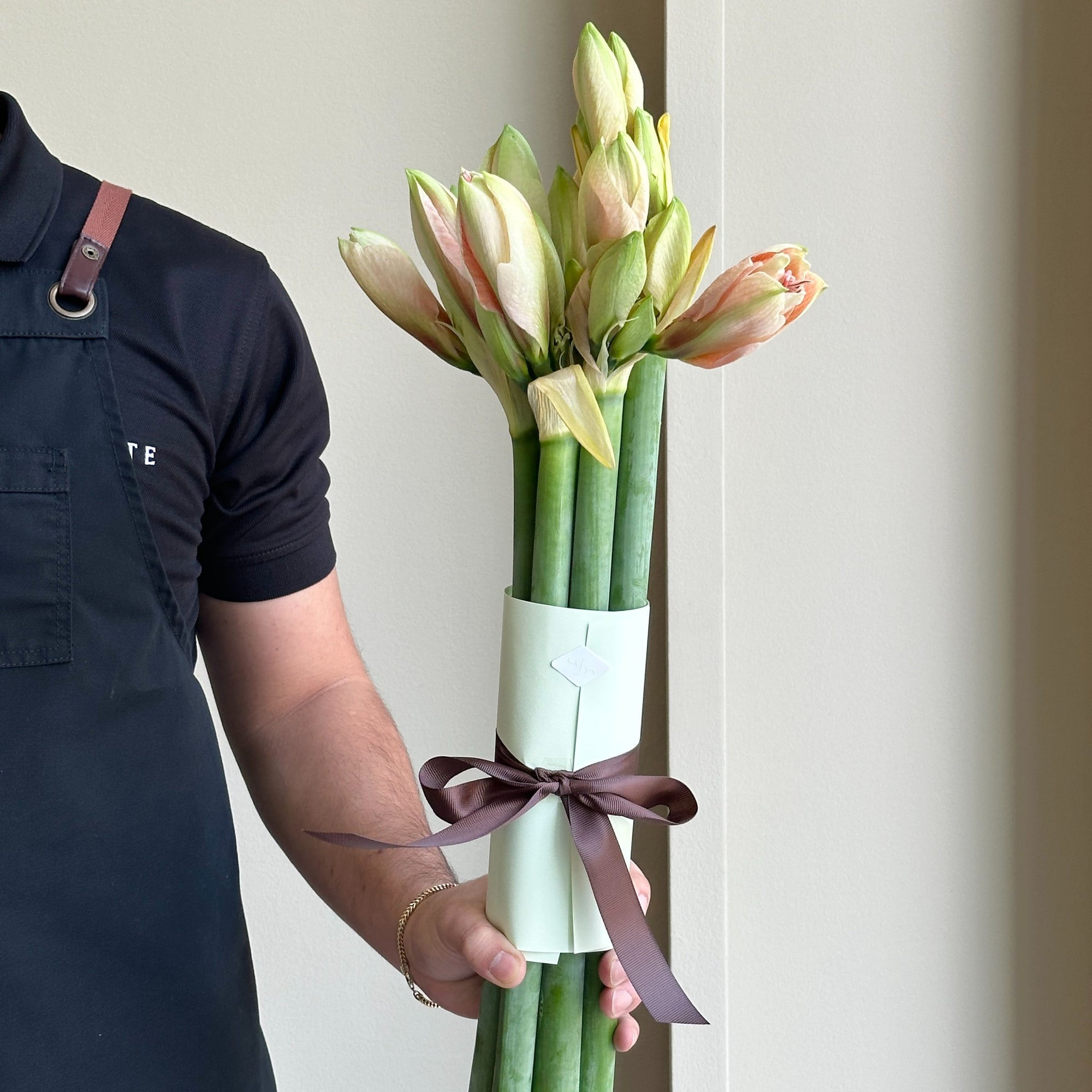 Amaryllis - Rilona (6 stems)