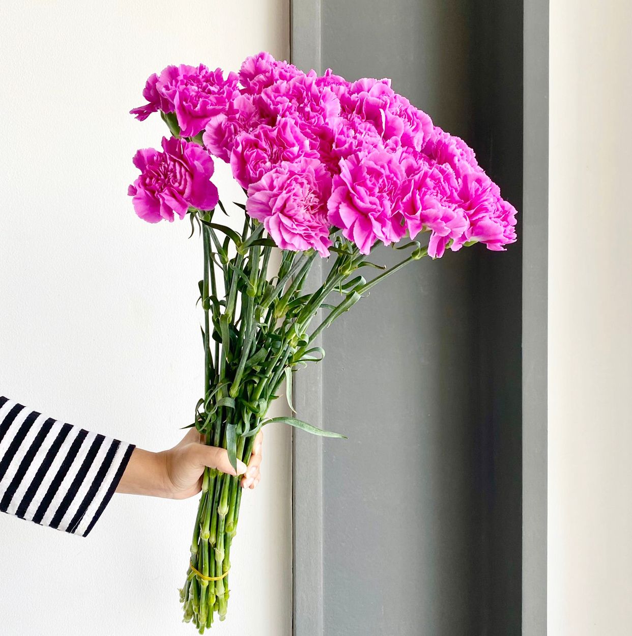 Carnations - Farida Lavender Select