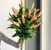 Florette_DALIAN_Pink_Orientpet_Lilies_Extra_market_flowers_2022-04-30_9d5ef2d4-a89b-491f-986b-f7d62f0fbe49