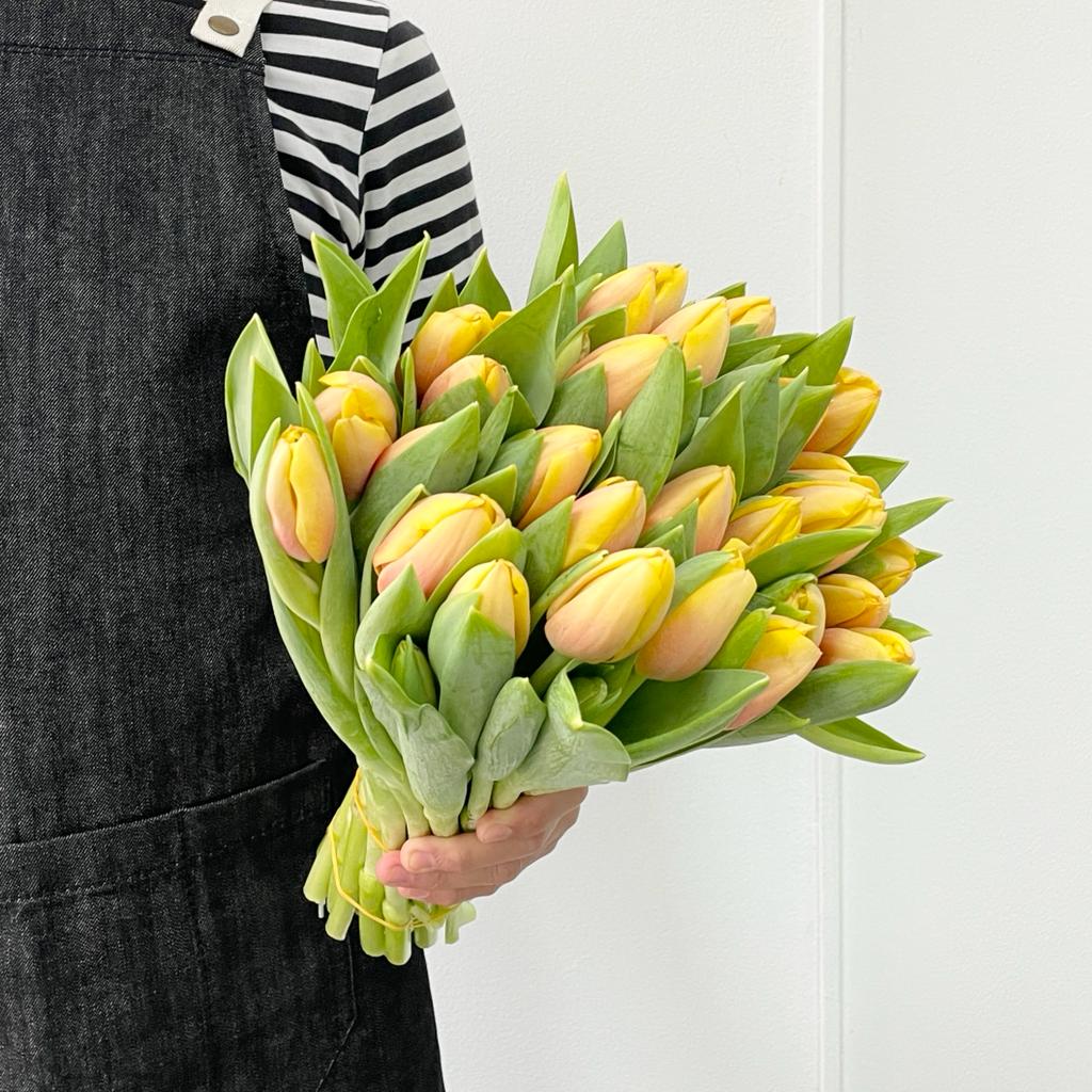 Tulips - Marit Mango