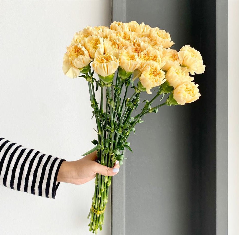 Flower Delivery Dubai, UAE 1 Online Flower Shop Florette