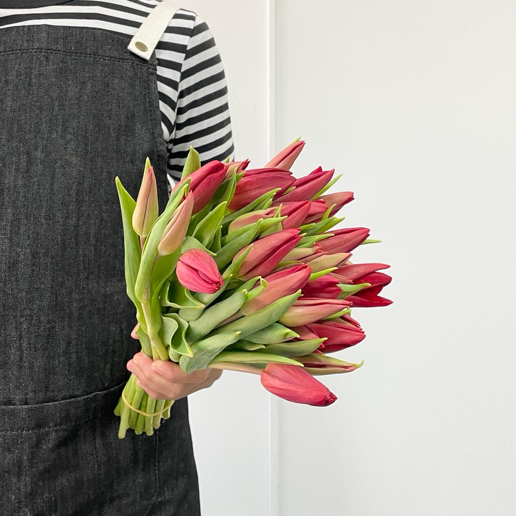 Tulips - Strong Love Red