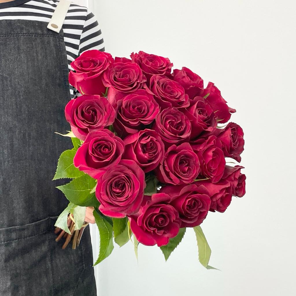 Roses - Black Pearl Red