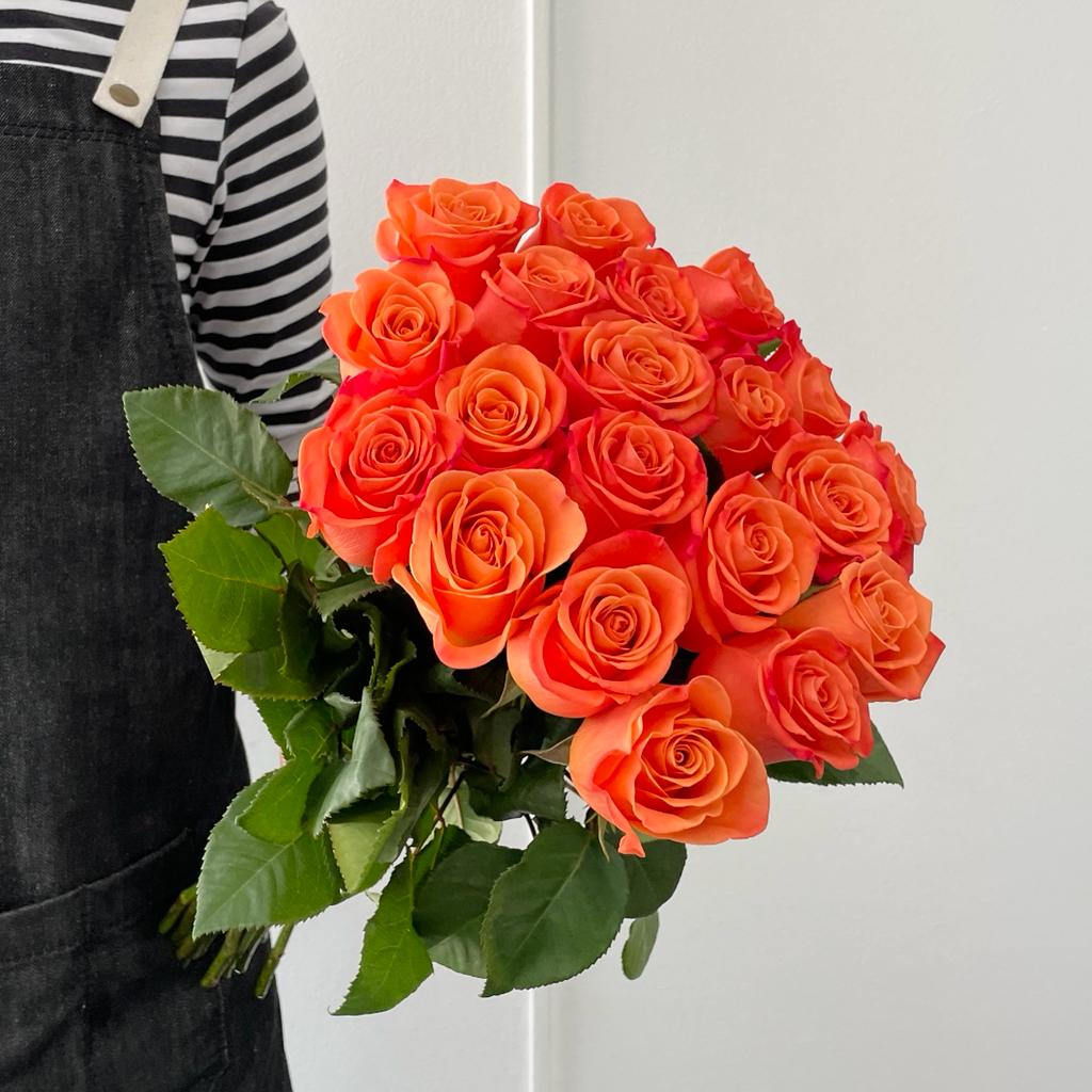 Roses - Orange Juice